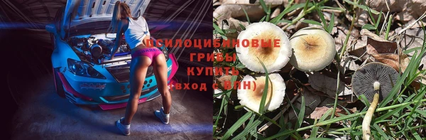 мет Пикалёво