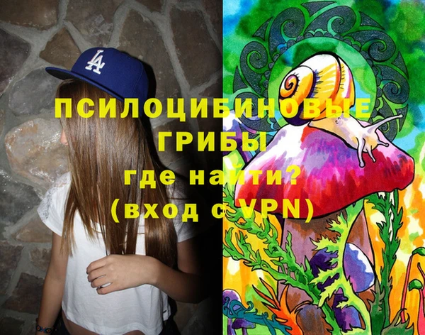 ГАЛЛЮЦИНОГЕННЫЕ ГРИБЫ Сатка