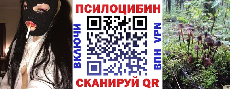 Псилоцибиновые грибы GOLDEN TEACHER  наркошоп  Спасск-Рязанский 